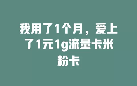 我用了1个月,爱上了1元1g流量卡米粉卡