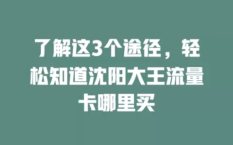 了解这3个途径,轻松知道沈阳大王流量卡哪里买