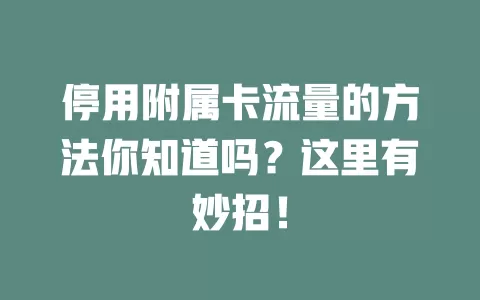 停用附属卡流量的方法你知道吗?这里有妙招!
