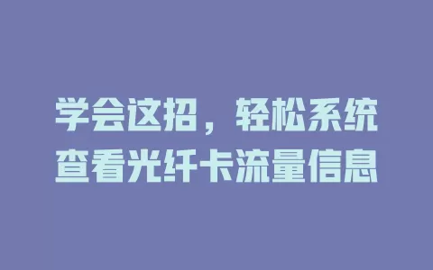 学会这招,轻松系统查看光纤卡流量信息