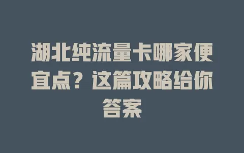 湖北纯流量卡哪家便宜点？这篇攻略给你答案