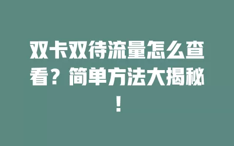 双卡双待流量怎么查看？简单方法大揭秘！