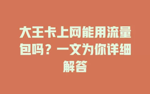 大王卡上网能用流量包吗?一文为你详细解答