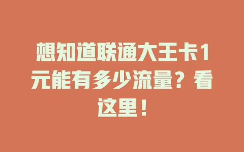 想知道联通大王卡1元能有多少流量?看这里!