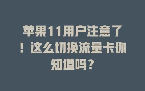 苹果11用户注意了！这么切换流量卡你知道吗？