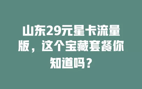 山东29元星卡流量版,这个宝藏套餐你知道吗?