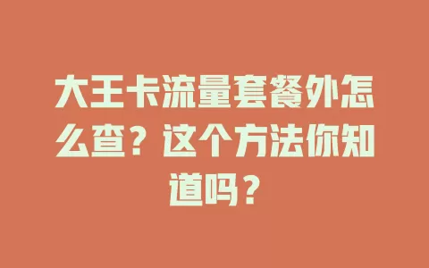 大王卡流量套餐外怎么查?这个方法你知道吗?