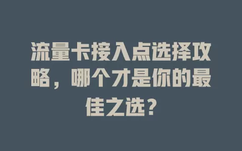 流量卡接入点选择攻略，哪个才是你的最佳之选？
