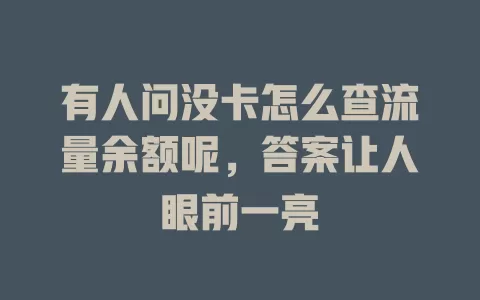 有人问没卡怎么查流量余额呢,答案让人眼前一亮