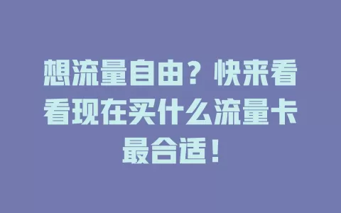 想流量自由?快来看看现在买什么流量卡最合适!