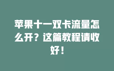 苹果十一双卡流量怎么开?这篇教程请收好!