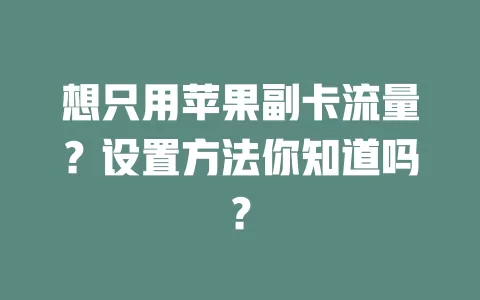 想只用苹果副卡流量?设置方法你知道吗?