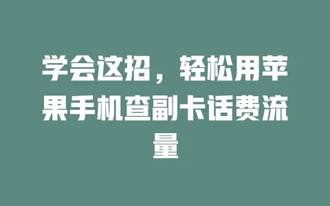 学会这招,轻松用苹果手机查副卡话费流量