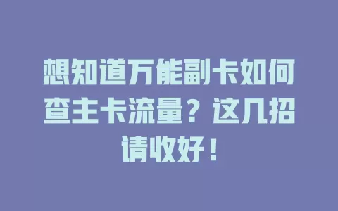 想知道万能副卡如何查主卡流量?这几招请收好!