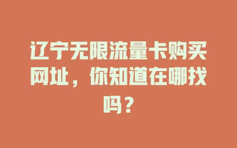 辽宁无限流量卡购买网址,你知道在哪找吗?