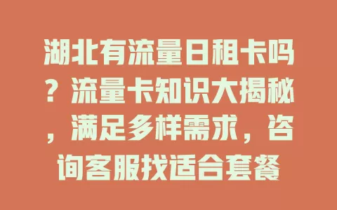 湖北有流量日租卡吗?流量卡知识大揭秘,满足多样需求,咨询客服找适合套餐