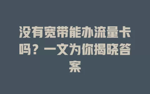 没有宽带能办流量卡吗？一文为你揭晓答案