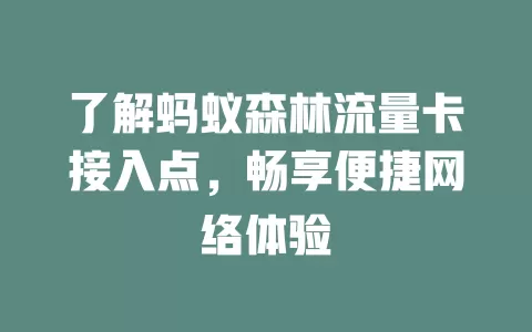 了解蚂蚁森林流量卡接入点，畅享便捷网络体验