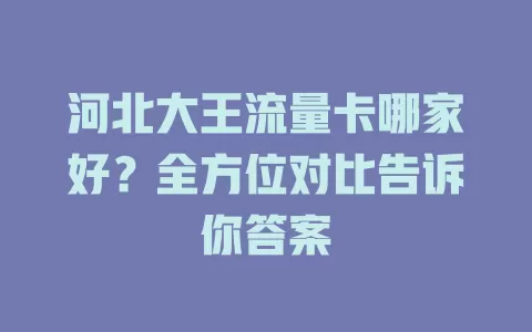 河北大王流量卡哪家好?全方位对比告诉你答案