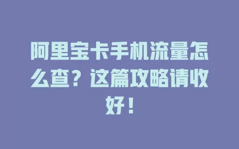 阿里宝卡手机流量怎么查?这篇攻略请收好!