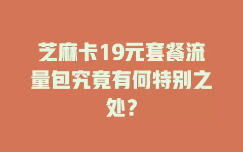 芝麻卡19元套餐流量包究竟有何特别之处?