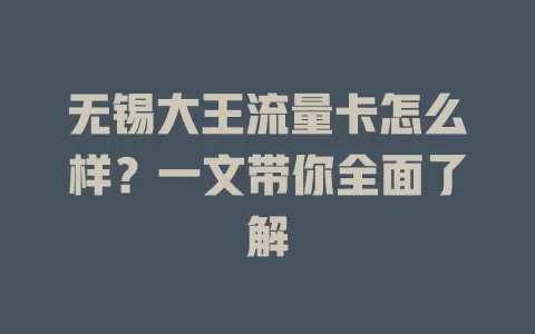 无锡大王流量卡怎么样?一文带你全面了解