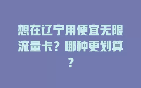 想在辽宁用便宜无限流量卡?哪种更划算?