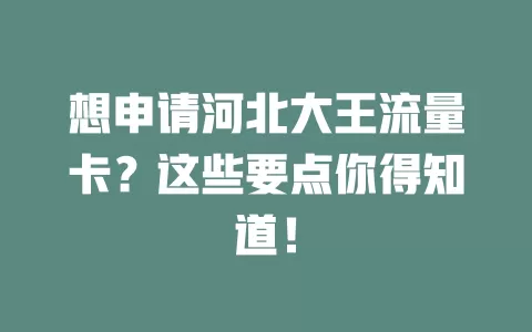 想申请河北大王流量卡?这些要点你得知道!