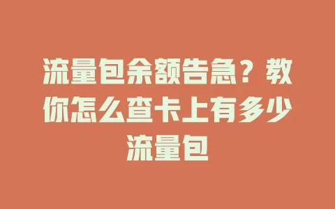 流量包余额告急?教你怎么查卡上有多少流量包