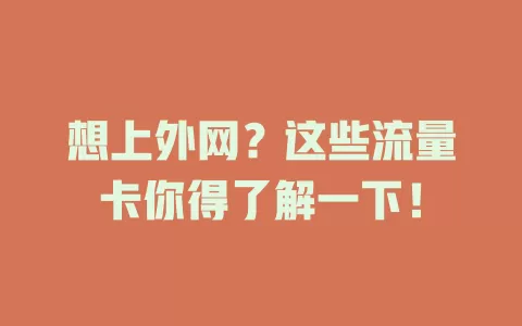 想上外网?这些流量卡你得了解一下!