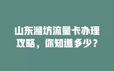 山东潍坊流量卡办理攻略,你知道多少?