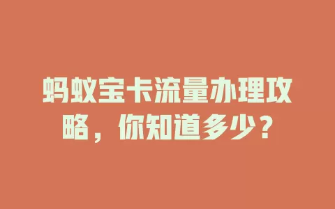 蚂蚁宝卡流量办理攻略，你知道多少？