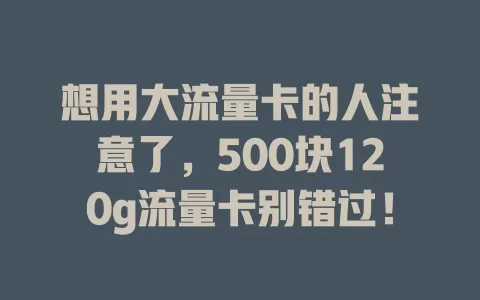 想用大流量卡的人注意了,500块120g流量卡别错过!