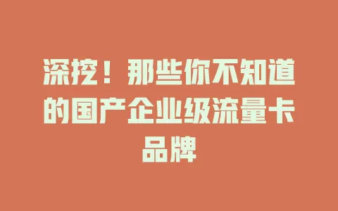 深挖!那些你不知道的国产企业级流量卡品牌