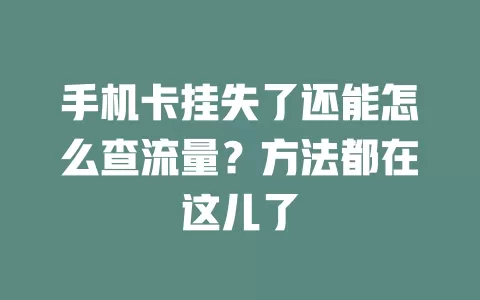 手机卡挂失了还能怎么查流量?方法都在这儿了