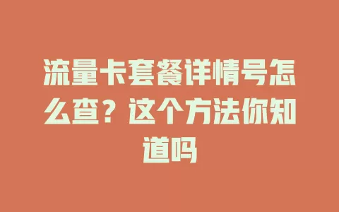 流量卡套餐详情号怎么查?这个方法你知道吗