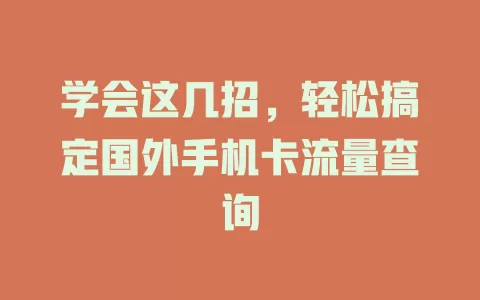 学会这几招,轻松搞定国外手机卡流量查询