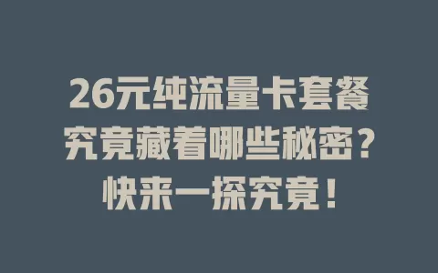 26元纯流量卡套餐究竟藏着哪些秘密?快来一探究竟!