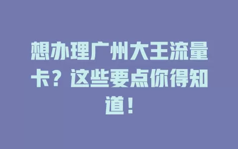 想办理广州大王流量卡?这些要点你得知道!