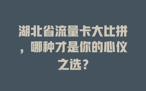 湖北省流量卡大比拼,哪种才是你的心仪之选?