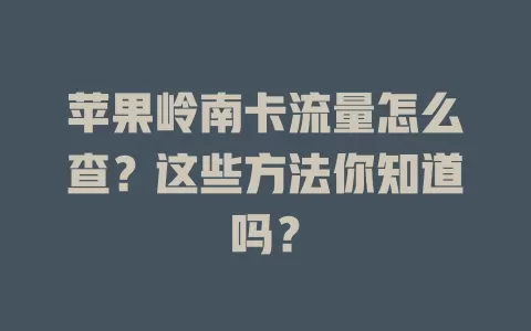 苹果岭南卡流量怎么查?这些方法你知道吗?