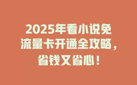 2025年看小说免流量卡开通全攻略,省钱又省心!