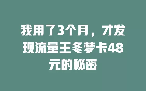 我用了3个月,才发现流量王冬梦卡48元的秘密