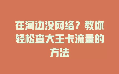 在河边没网络?教你轻松查大王卡流量的方法