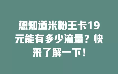 想知道米粉王卡19元能有多少流量？快来了解一下！
