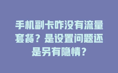 手机副卡咋没有流量套餐?是设置问题还是另有隐情?