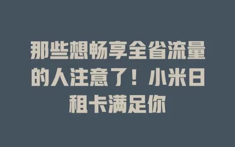 那些想畅享全省流量的人注意了!小米日租卡满足你