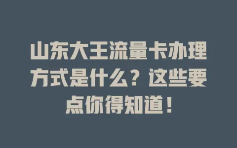 山东大王流量卡办理方式是什么?这些要点你得知道!
