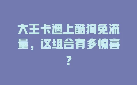 大王卡遇上酷狗免流量,这组合有多惊喜?