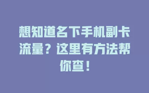 想知道名下手机副卡流量?这里有方法帮你查!